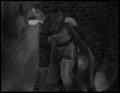 Raccoon thief by Katai