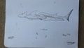 Lightning Swimming