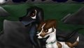 Rowf and Snitter 