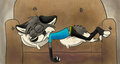 sleepy by ZerdaFox