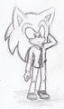 Sonic :D  by melikimi12