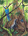 Biodiversity