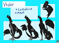 Vidar Reference