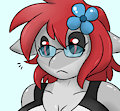squishy shork