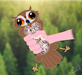Owl Grips