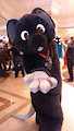 Confuzzled 2016: Mouse by InfernosFlame