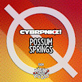 Cybrpnkz! - Possum Springs