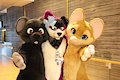 Happy Fursuit Friday (4)