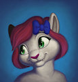 Rick Softpaw Portrait