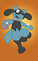 Riolu