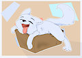 White Wolf in a Box!