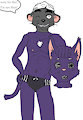 a rat in a cat