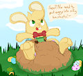 Acester Bunny