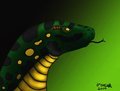 My First Real Drawing VORISK 2009! :}~~~< by VoriskAnaconda