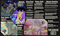 March Open Commissions!