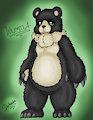 Kuma the Bear
