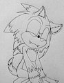 Movie Werehog Sonic