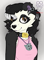 Cute panda
