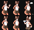 My fursona, Sorang SCGs
