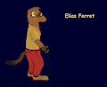 Other Outfits in Elias Ferret's Wardrobe