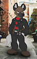 Haida
