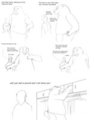 Costume advice from a bear by chainmailrabbit