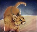 Sun by JustMotif