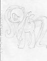 Fluttershy! by WingedKitsune
