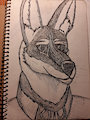 Comission: Jacky the ethiopian jackal by Soulfear