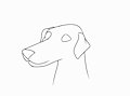 Animations!!!!