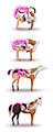 The Horse