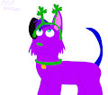 Genderbent Cherry Wearing a clover headband