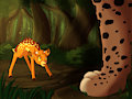 Meet the Lynx