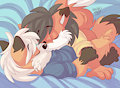 Smooching Foxes