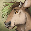 Sunder Cow