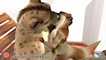 Sun Terrace Tease Pt 2 Stills 1 by PxlFur