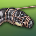 Silver Muzzled