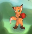 Fox cub