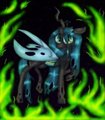 Chrysalis