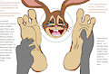 Cadbury bunny tickled