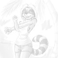 Raccoon