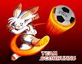 Go Team Scorbunny!
