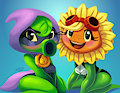 Green Shadow and Solar Flare