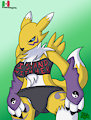 Another Year, Another Renamon (Safe)