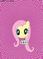 We are pony