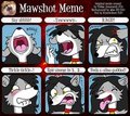 Mawshot Meme by zenia