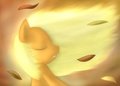 apple wind