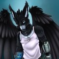 Gryphon by Shariea
