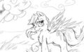 Field day by GrayAutumn