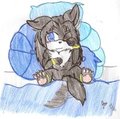 Adan the devil wolf vercion niño ^w^